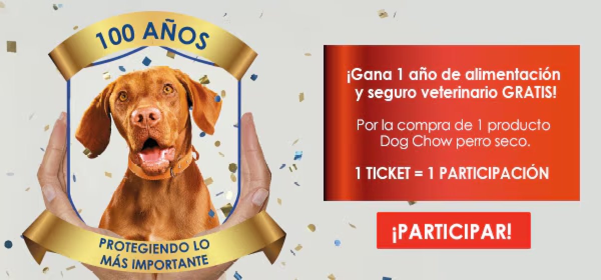 Purina Dog Chow: Un año de pienso y seguro veterinario