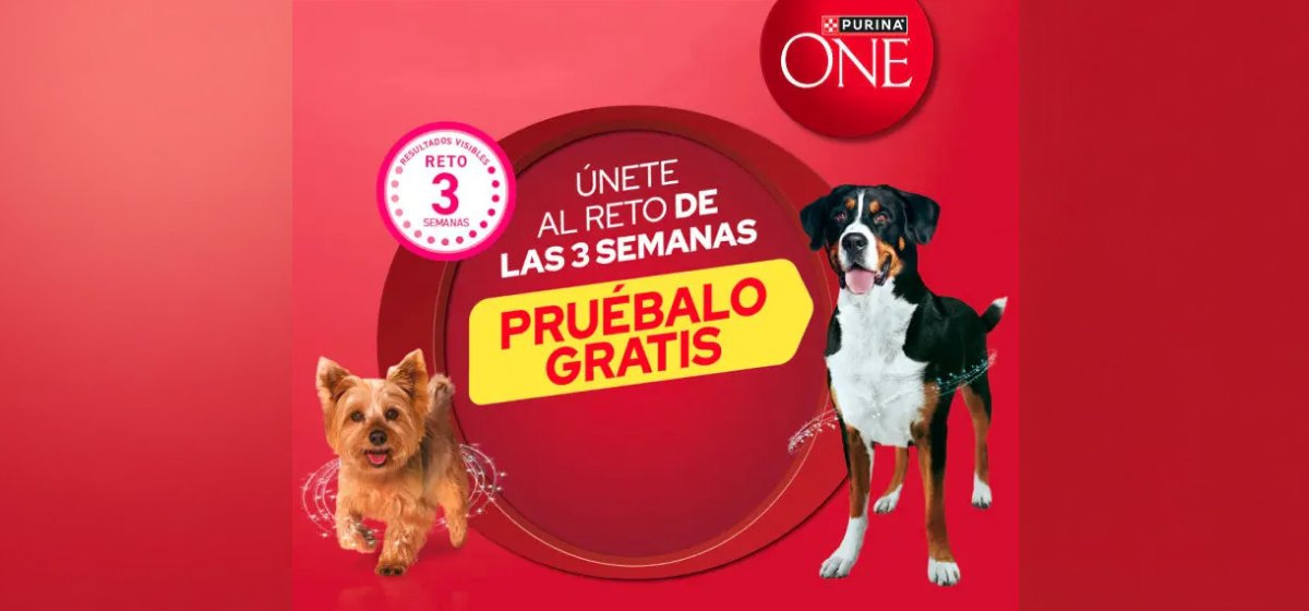 Purina ONE: Reto 3 semanas: te devuelven hasta 20 €
